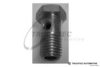 TRUCKTEC AUTOMOTIVE 79.12.001 Hollow Screw